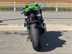 Kawasaki Ninja Zx-10r 2020