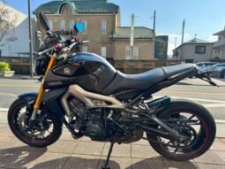 Yamaha Mt-09abs 2014