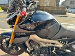 Yamaha Mt-09abs 2014