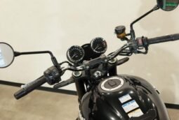 Kawasaki Z900RS 2020