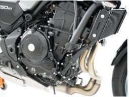 
										Kawasaki Z900RS 2023 full									