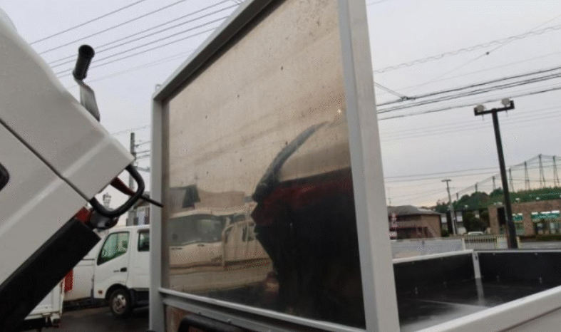 
								Isuzu ELF 2012 full									