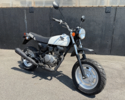 
										HONDA  Ape100 2009 full									