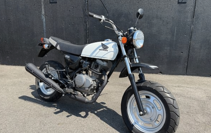 
								HONDA  Ape100 2009 full									