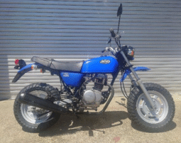 HONDA  Ape100 2004