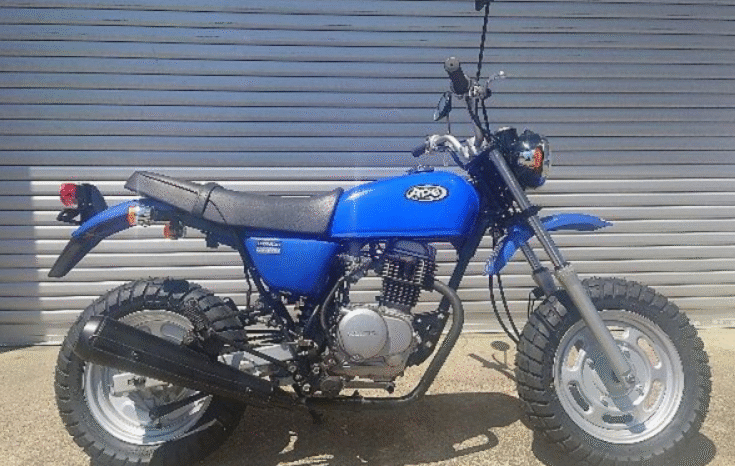
								HONDA  Ape100 2004 full									