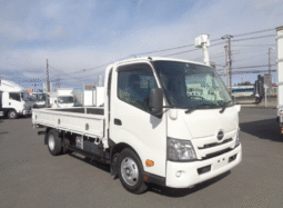 Hino Dutro 2020