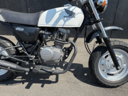 
										HONDA  Ape100 2009 full									