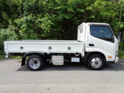 Hino Dutro 2020