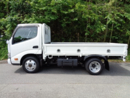 Hino Dutro 2020