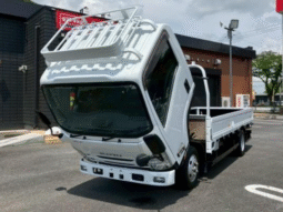 ISUZU  Elf 2020