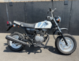 
										HONDA  Ape100 2009 full									