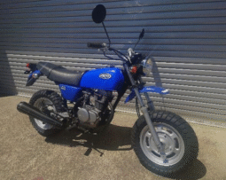 HONDA  Ape100 2004