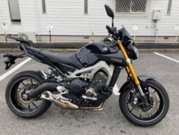 
										YAMAHA  MT-09  2014 full									