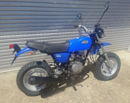 HONDA  Ape100 2004