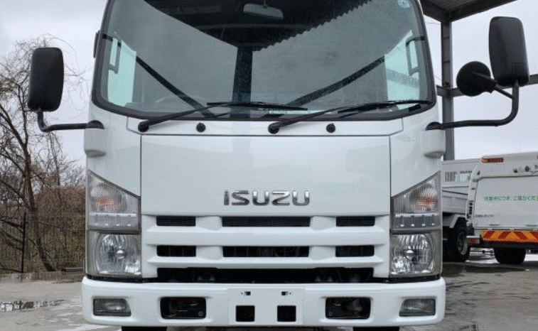 
								ISUZU  Elf  2010 full									