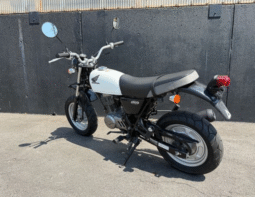 
										HONDA  Ape100 2009 full									