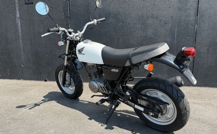 
								HONDA  Ape100 2009 full									