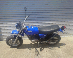 HONDA  Ape100 2004