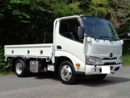 Hino Dutro 2020
