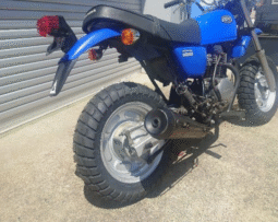 
										HONDA  Ape100 2004 full									