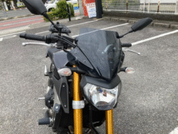 
										YAMAHA  MT-09  2014 full									