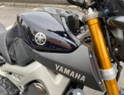
										YAMAHA  MT-09  2014 full									